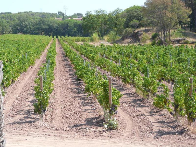 La Bastide Du Clos Des Roses - Teritoria Fréjus Eksteriør bilde